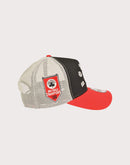 New Era NBA Boston Celtics 9FORTY A-Frame Blood Line Snapback Hat