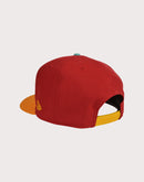 New Era MLB Boston Red Sox 9FIFTY A-Frame Spring Snapback Hat