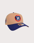 New Era MLB Chicago Cubs 9FORTY A-Frame Team Spring Snapback Hat