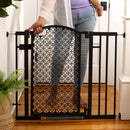 Union Arch Safety Gate