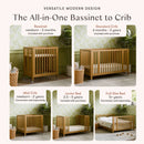 Rolli 9-in-1 Convertible All-Stages Crib with Bassinet & Toddler Bed Conversion Kits - Honey