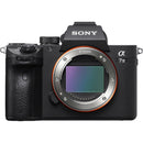 Sony A7 III Mirrorless Camera Body