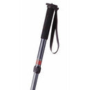 Promaster 3564 MP528 Professional Monopod  (Black)