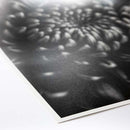 Promaster 8130 Fine Art Baryta Natural Satin Paper 8.5"x11" - 20 Sheets