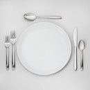 Glass Dinner Plates - Set of 6