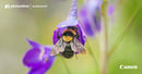 Macro Photography Workshop at Red Butte Garden: Saturday May 1st: Get to know your camera students