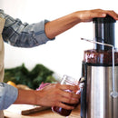 Wide Mouth Juice Extractor - Silver: 800W Juicer Machine, 2 Speeds, Easy Clean, 32oz Capacity