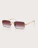 Ray-Ban RB3928 By A$AP Rocky
