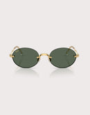 Ray-Ban RB3929 By A$AP Rocky