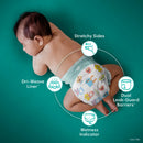 Baby-Dry Size 1 Diapers - Jumbo Pack
