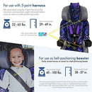 2-in-1 Car Seat - Black Panther