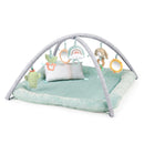 Calm Springs Plush Activity Gym - Chic Boutique