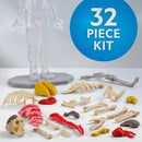 National Geographic Glow-In-The-Dark Human Body: Science Kit & Activity Guide for Anatomy Learning