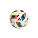 Training Soccer Ball - White