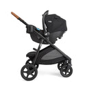 Ginger and Rue Travel System - Shale Dark
