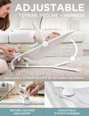 Portable Baby Bouncer - Driftwood Grey
