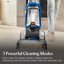 Pet Hair Pick-Up Carpet Cleaner - Gray