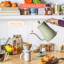 Electric Gooseneck Kettle - Sage Green