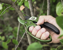 EZ KUT Heavy Duty Ratchet Pruning Shears Green (3130)