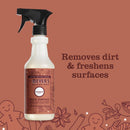 Mrs. Meyer's Clean Day Gingerbread Scent Multi-Purpose Cleaner Liquid Spray 16 oz, Pack of 6