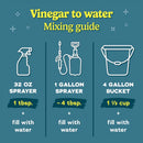 Worry Free Non-Scented Scent Concentrated All Purpose Cleaning Vinegar Liquid 1 gal, Pack of 4
