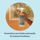 Mrs. Meyer's Clean Day Pets Liquid Odor Neutralizer 12 oz, Pack of 6