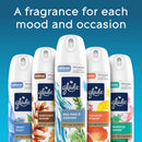 Glade Cashmere Woods Scent Air Freshener 7.3 oz Aerosol, Pack of 6