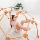 Wood Dome Climber - Natural Wood