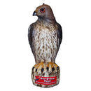 Hawk Decoy