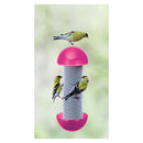Akerue H-F Cherry Valley Have-A-Ball Feeder, 11.2-Ounce