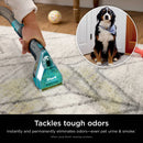 Upright Deep Carpet Cleaner with Built-In Spot Remover - Gray