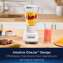 Turbo Blender, 800-Watt Food Blender, White