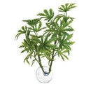ZooMed- Papaya Plant
