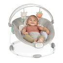 Baby Bouncer Seat - Nate