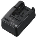 Sony BCQM1 Power Adapter & Battery Charger for NPFW50