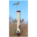 Aspects Seed Tube, Large, Berry