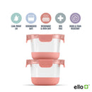 Glass Food Storage Container Set - Terracotta Orange