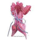 Beet Bull's Blood HEIRLOOM Botanical Interests Seeds