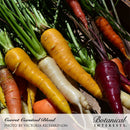 Carrot, Carnival Blend Organic Botanical Interests Seeds