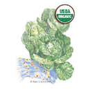 Lettuce Romaine Little Gem Organic HEIRLOOM Botanical Interests Seeds