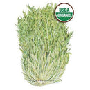 Mustard Mizuna Organic HEIRLOOM Botanical Interests Seeds