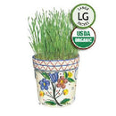 Wheatgrass Liquid Sunshine Organic HEIRLOOM Botanical Interests Seeds