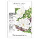 Moonflower Heirloom Botanical Interests Seeds