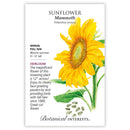 Sunflower, Mammoth Grey Stripe Heirloom Botanical Interests Seeds