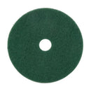 Gator 17 in. D Non-Woven Natural/Polyester Fiber Floor Pad Disc Green, Pack of 5
