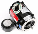 Marathon Motors 1/3 HP Vector Motor,3-Phase,1725 Nameplate RPM,230/460 Voltage,Frame 56C - 056H17E5302