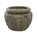 Border Concepts Leaf Self-Watering Pot, Assortment, 6.25"