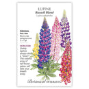 Lupine, Botanical Interests Russell Blend Seeds (Heirloom)