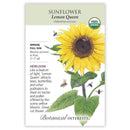 Sunflower, Botanical Interests Lemon Queen Seeds Organic, Heirloom