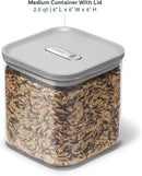 2.5 Qt. Medium Glass Airtight Container - Gray